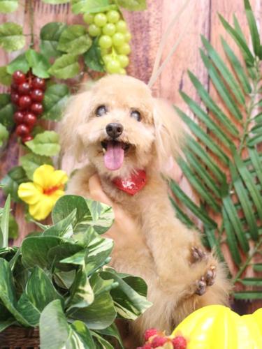 20230813もモカくん